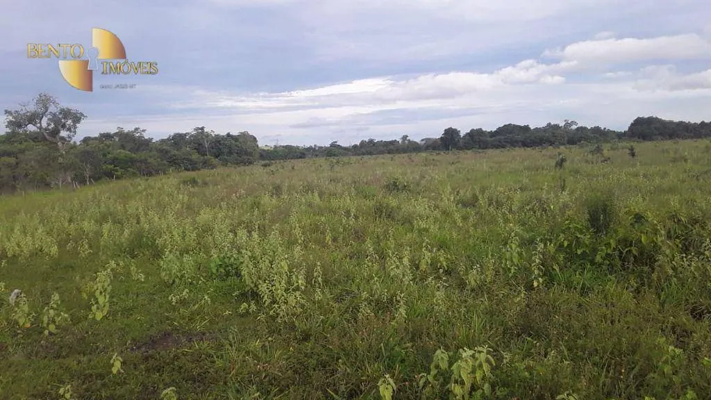 Fazenda à venda de 949 ha em Gaúcha do Norte, MT, Brasil