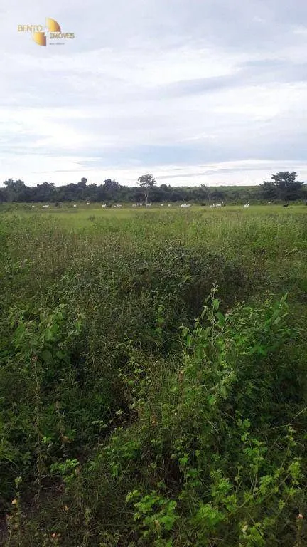 Fazenda à venda de 949 ha em Gaúcha do Norte, MT, Brasil