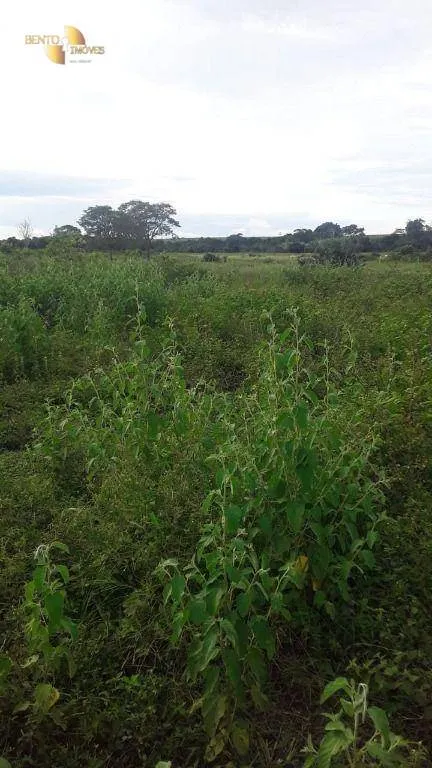 Fazenda à venda de 949 ha em Gaúcha do Norte, MT, Brasil
