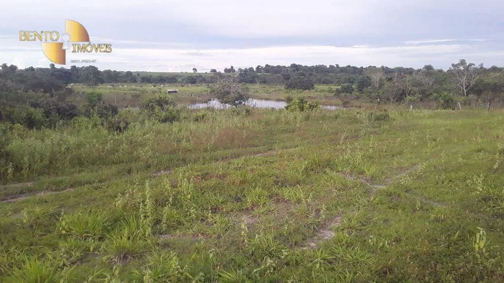Fazenda à venda de 949 ha em Gaúcha do Norte, MT, Brasil