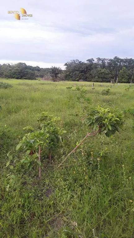 Fazenda à venda de 949 ha em Gaúcha do Norte, MT, Brasil