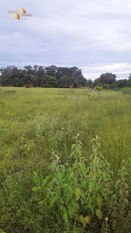 Fazenda à venda de 949 ha em Gaúcha do Norte, MT, Brasil