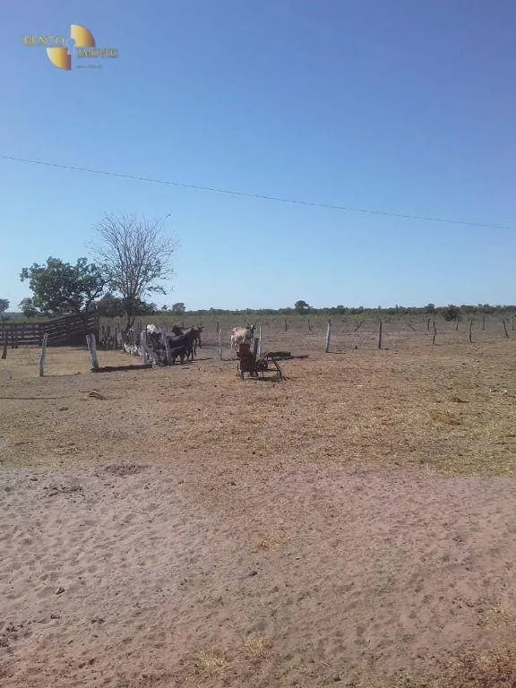 Fazenda à venda de 949 ha em Gaúcha do Norte, MT, Brasil