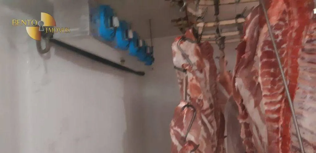 Comercial à venda de 5 ha em Curitiba, PR, Brasil