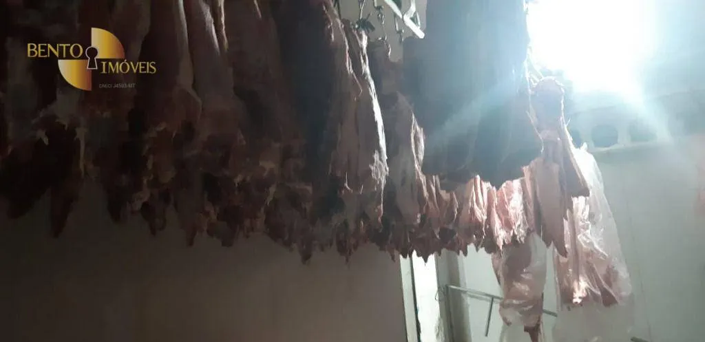 Comercial à venda de 5 ha em Curitiba, PR, Brasil
