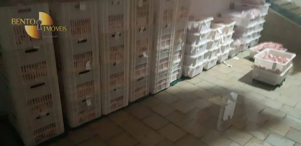 Comercial à venda de 5 ha em Curitiba, PR, Brasil
