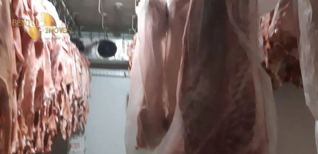 Comercial à venda de 5 ha em Curitiba, PR, Brasil
