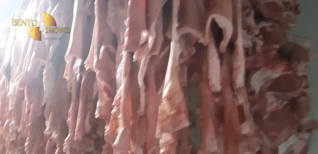 Comercial à venda de 5 ha em Curitiba, PR, Brasil