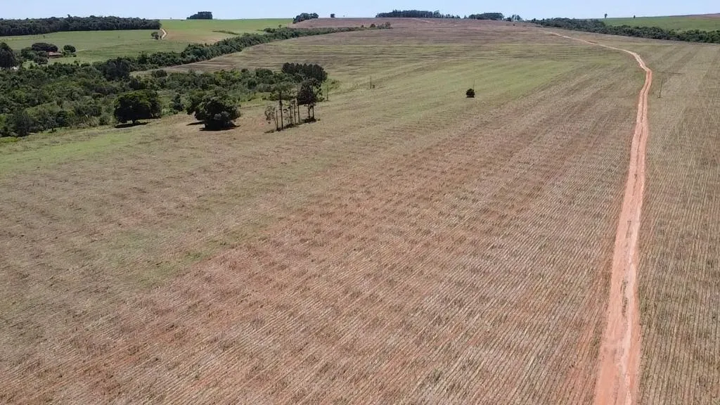Fazenda à venda e para Arrendar de 165 ha em Itaí, SP, Brasil