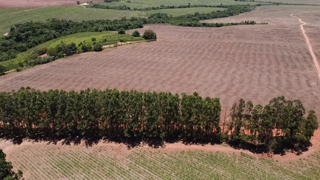 Fazenda à venda e para Arrendar de 165 ha em Itaí, SP, Brasil