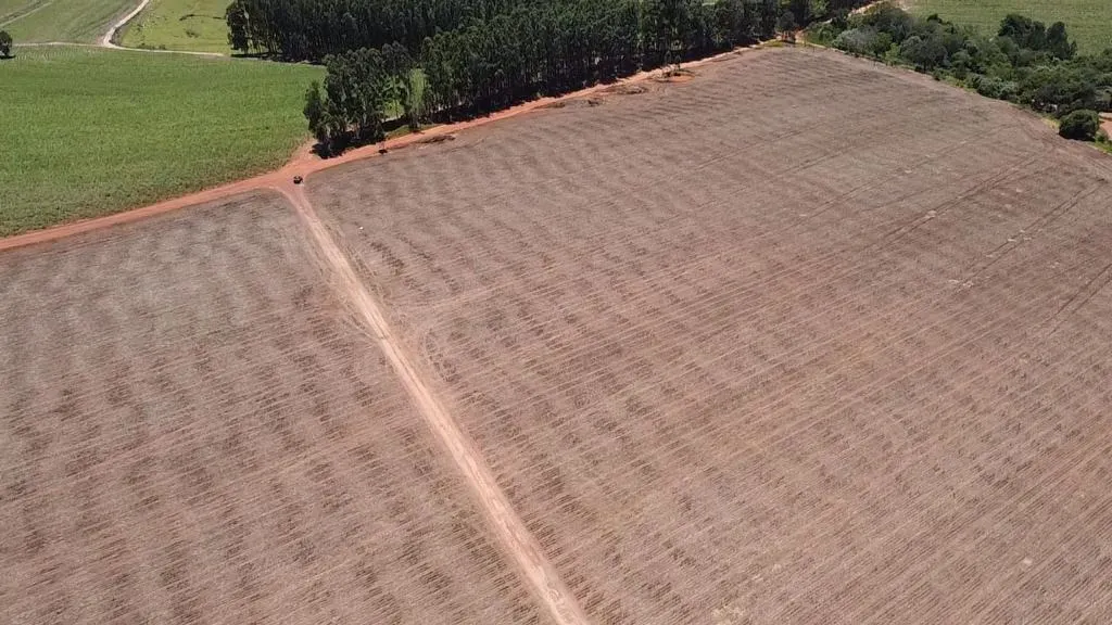 Fazenda à venda e para Arrendar de 165 ha em Itaí, SP, Brasil