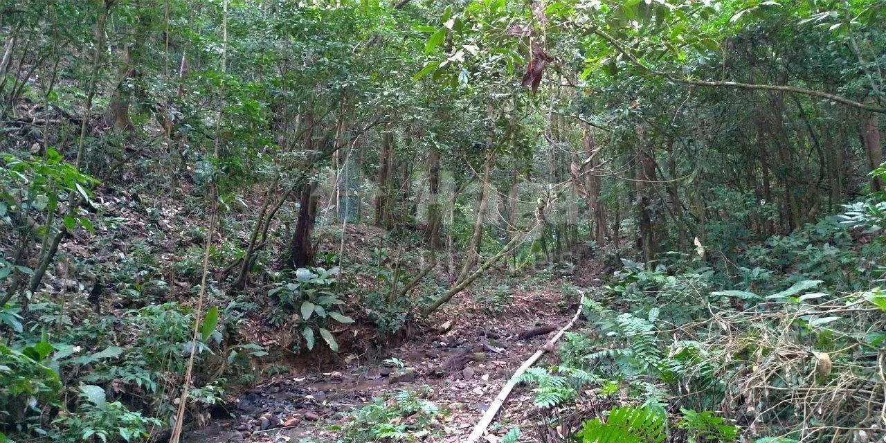 Country home for sale of 11 acres in Gaspar, SC, Brazil