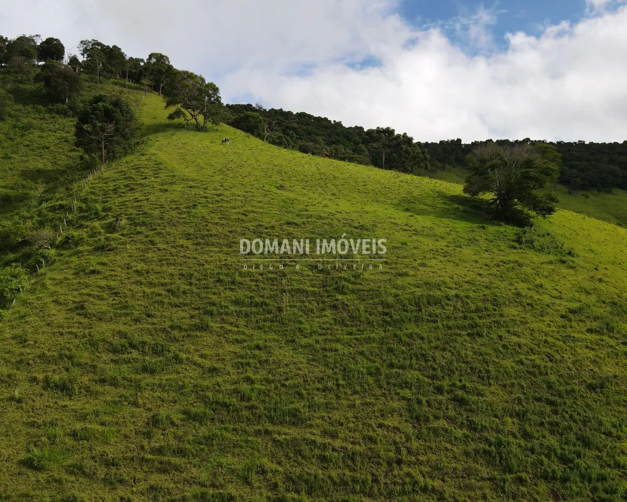 Terreno à venda de 1 ha em Campos do Jordão, SP, Brasil