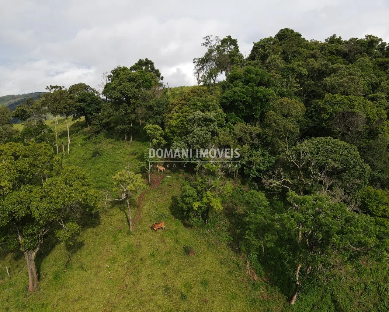 Terreno à venda de 1 ha em Campos do Jordão, SP, Brasil