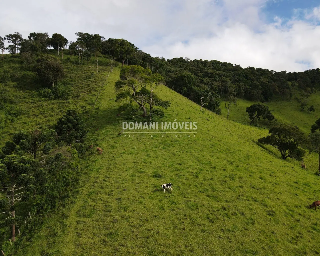 Terreno à venda de 1 ha em Campos do Jordão, SP, Brasil