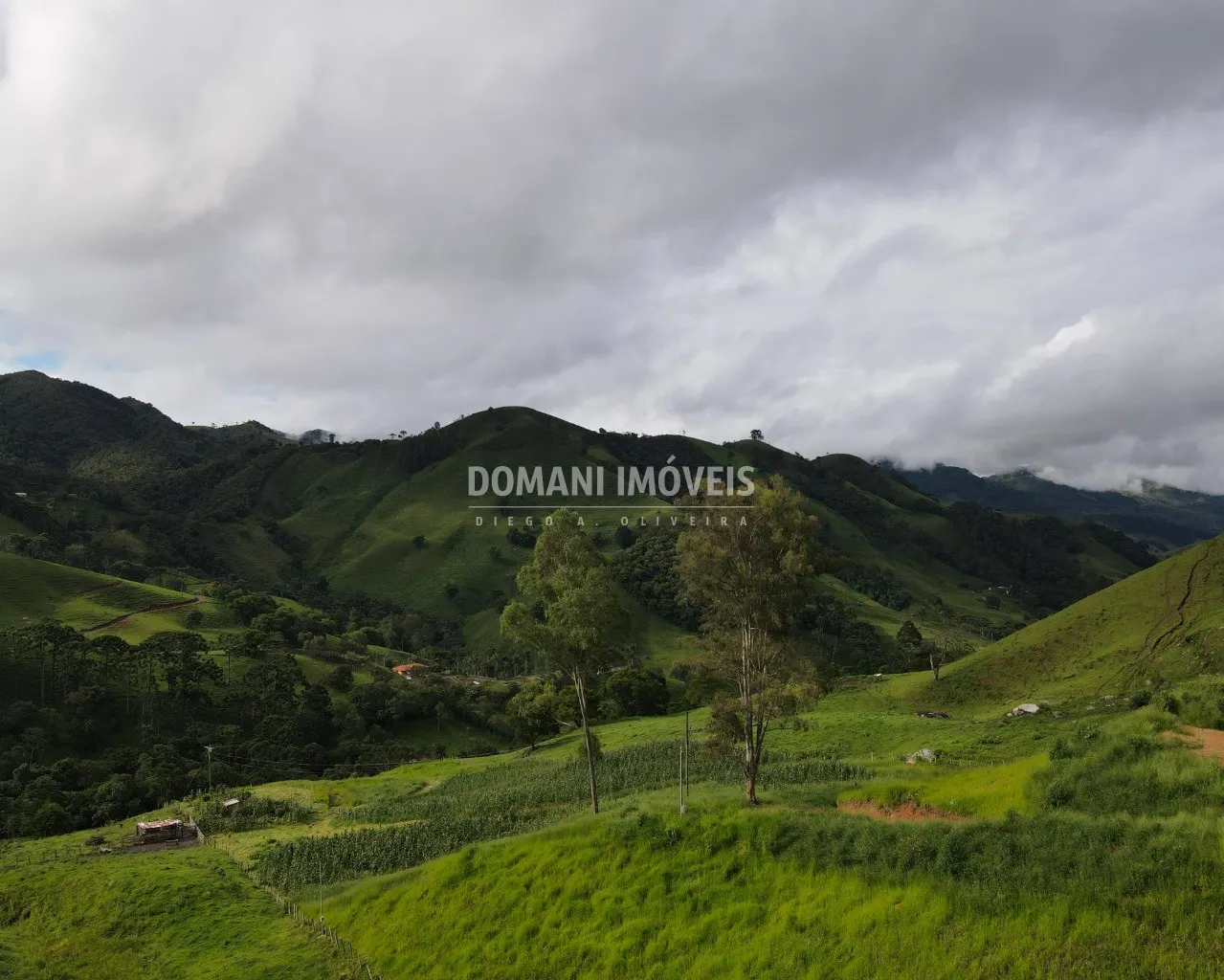 Terreno à venda de 1 ha em Campos do Jordão, SP, Brasil