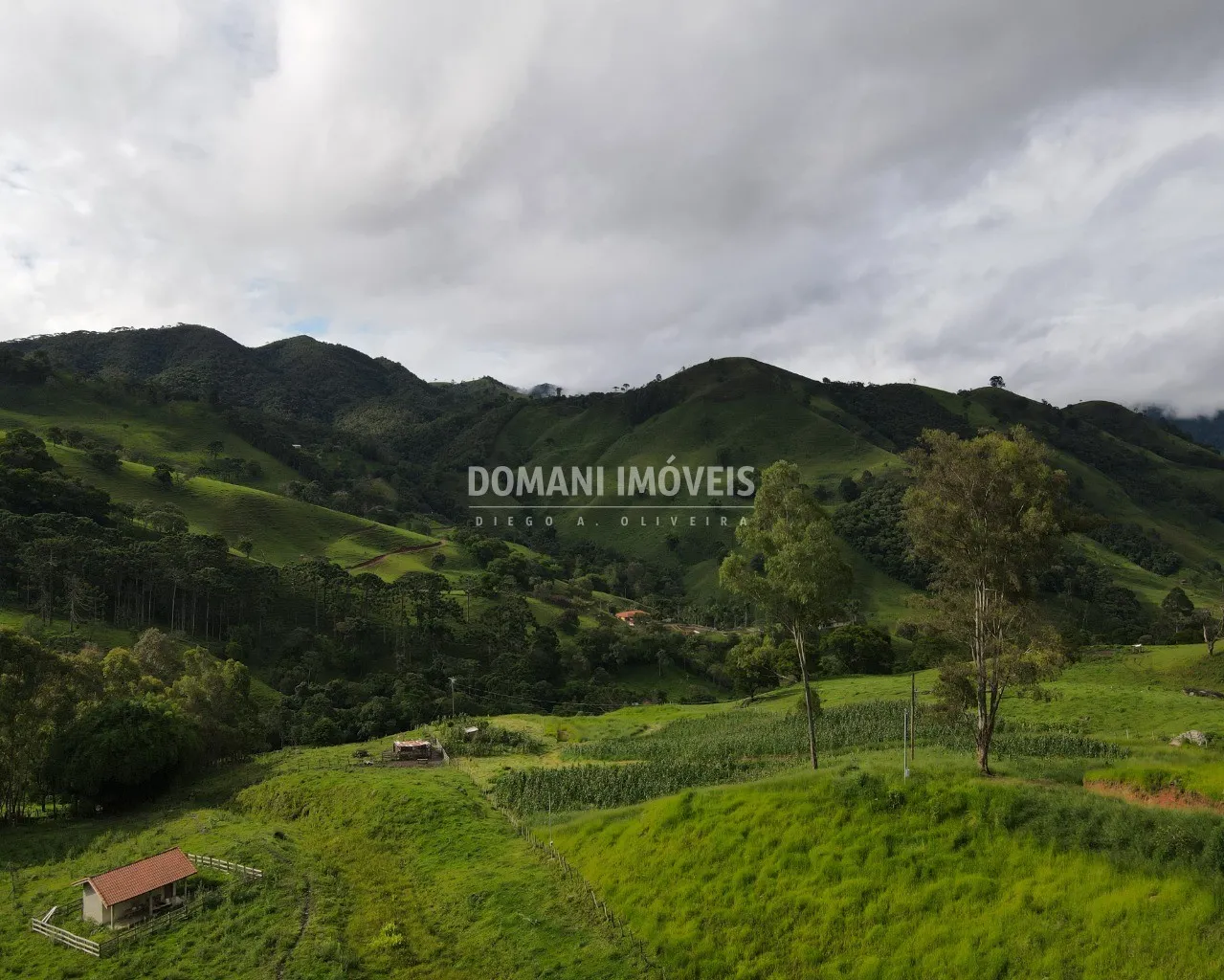 Terreno à venda de 1 ha em Campos do Jordão, SP, Brasil
