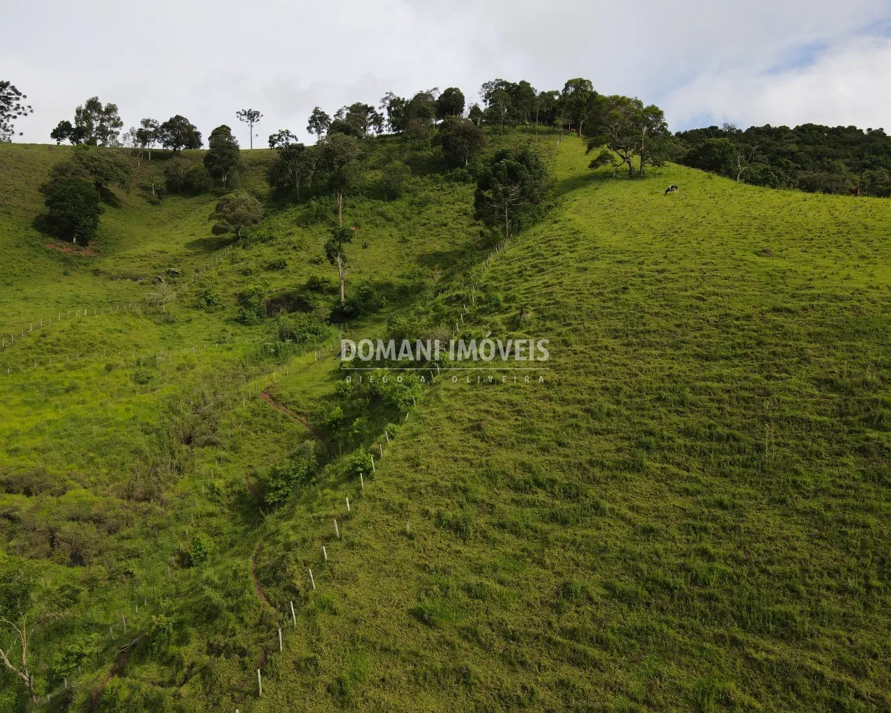 Terreno à venda de 1 ha em Campos do Jordão, SP, Brasil