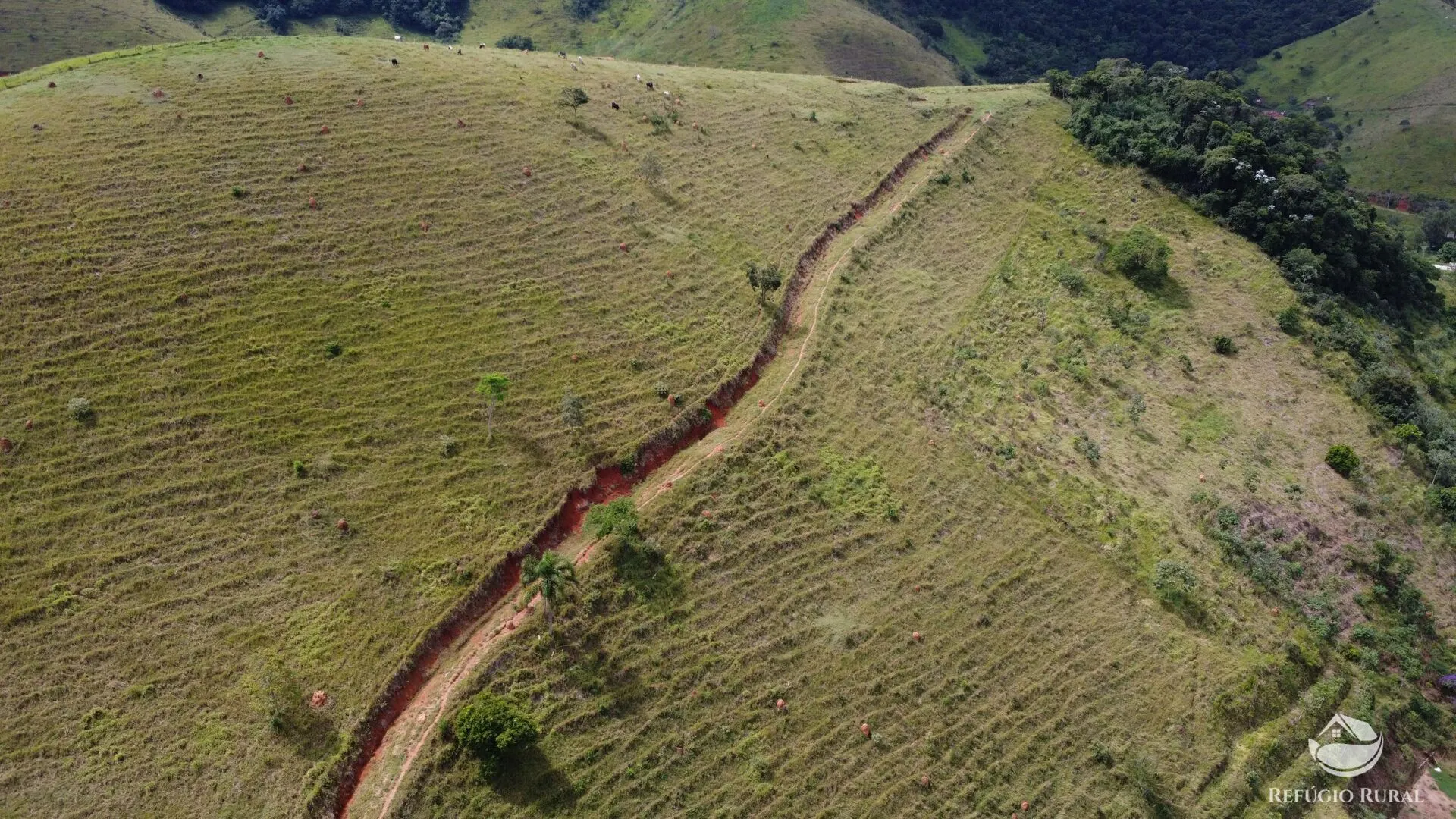 Plot for sale of 6 acres in São José dos Campos, SP, Brazil