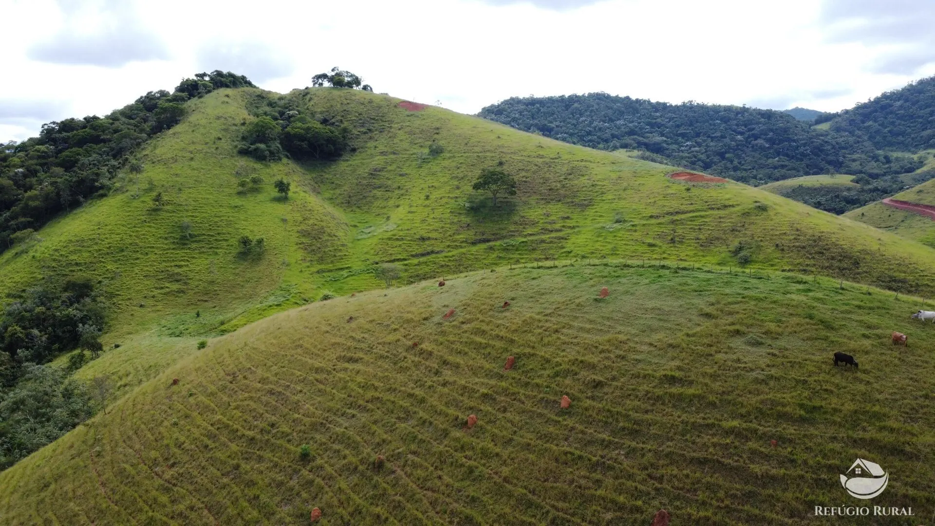 Plot for sale of 6 acres in São José dos Campos, SP, Brazil