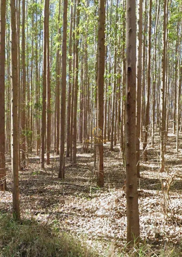 Fazenda à venda de 760 ha em Paraibuna, SP, Brasil