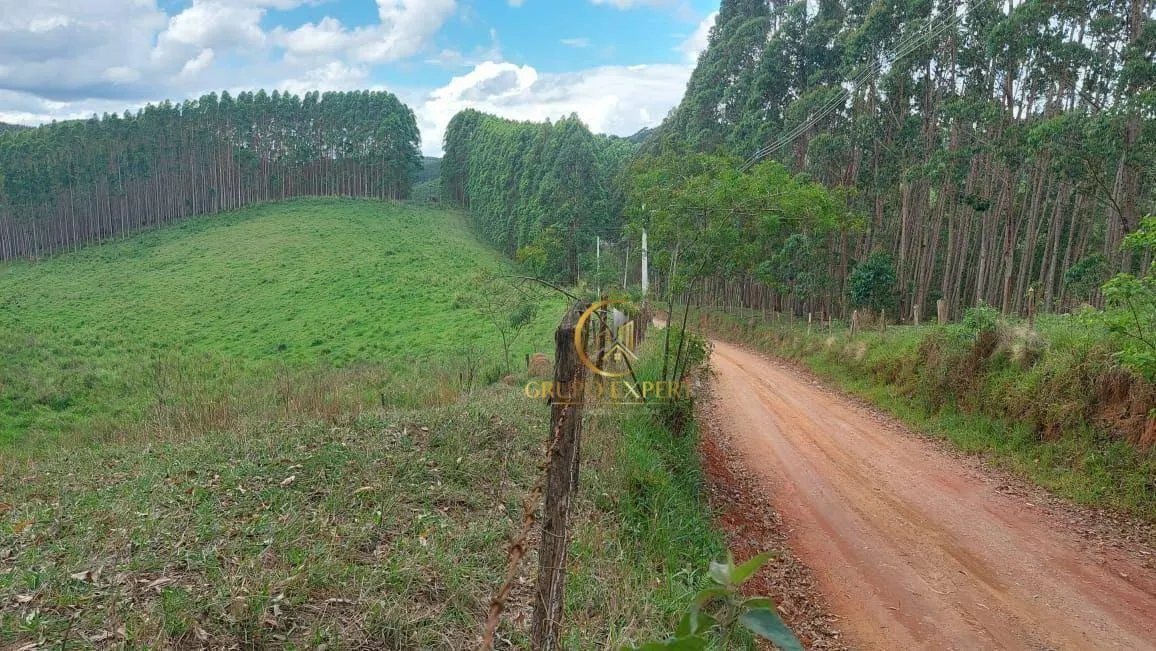 Fazenda à venda de 760 ha em Paraibuna, SP, Brasil