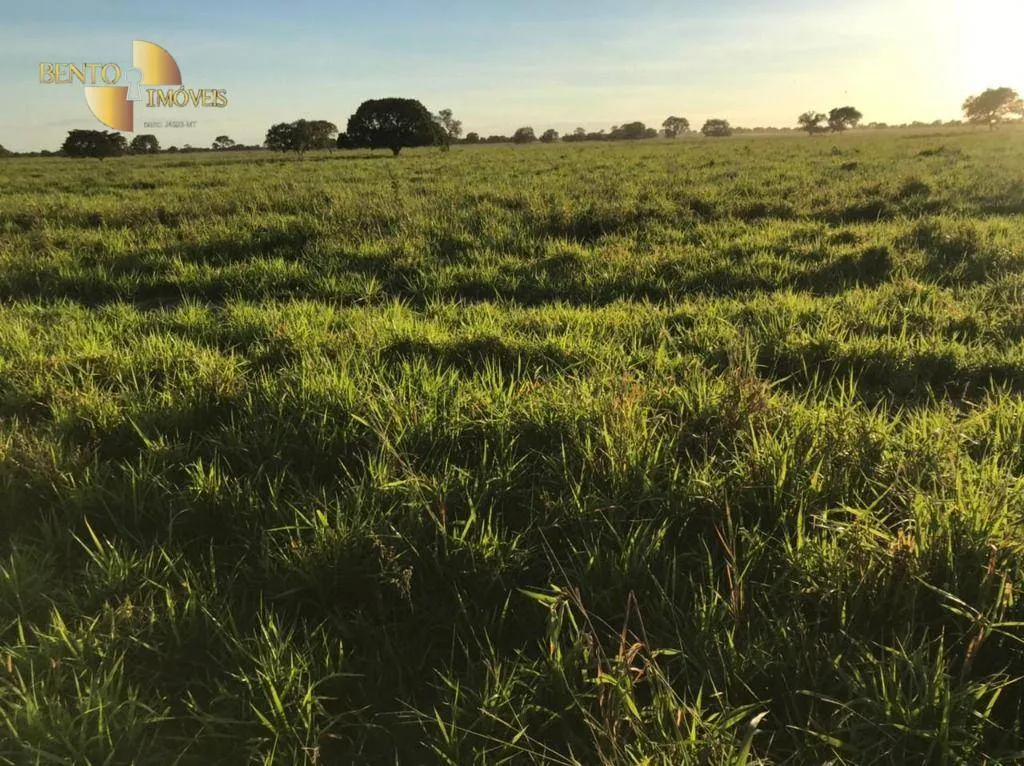 Fazenda à venda de 3.511 ha em Itiquira, MT, Brasil