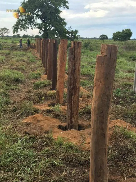 Fazenda à venda de 3.511 ha em Itiquira, MT, Brasil