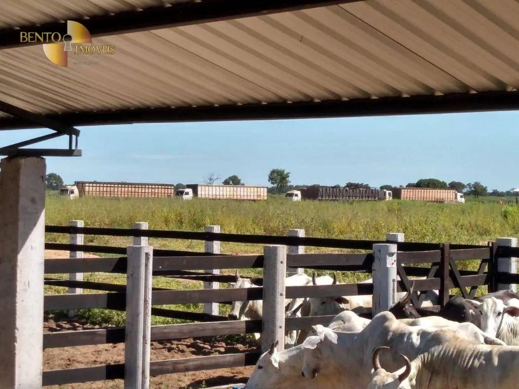 Fazenda à venda de 3.511 ha em Itiquira, MT, Brasil