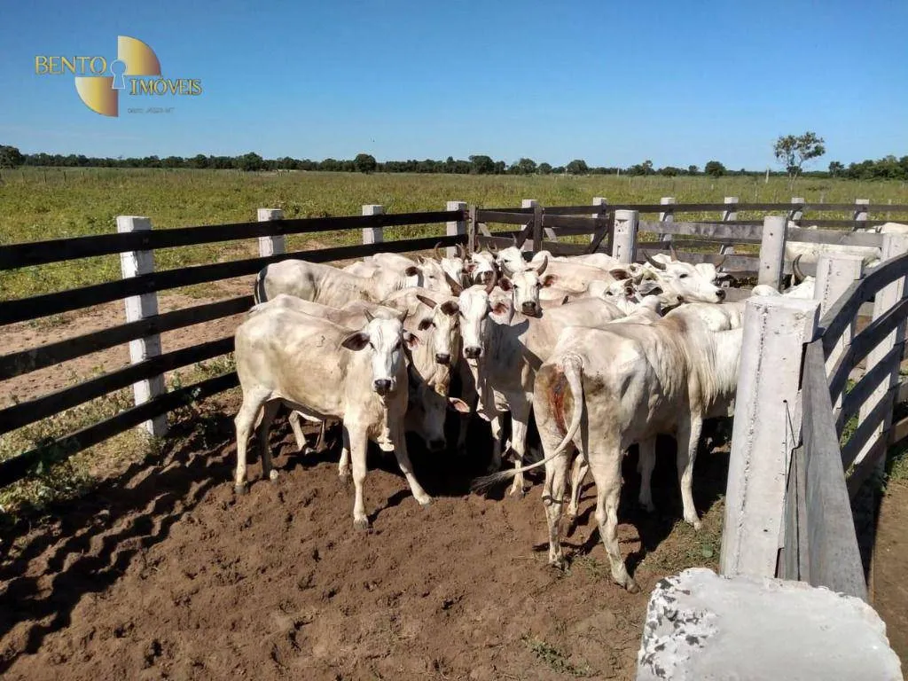Fazenda à venda de 3.511 ha em Itiquira, MT, Brasil