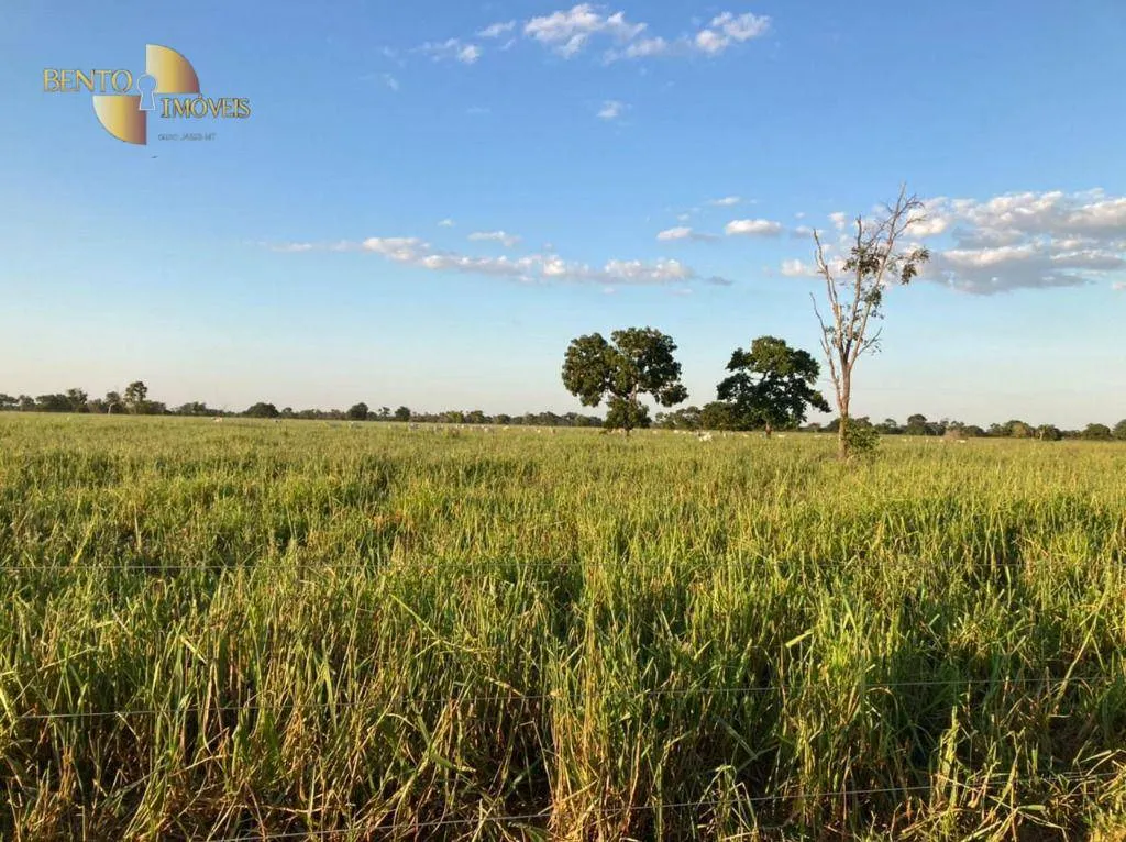 Fazenda à venda de 3.511 ha em Itiquira, MT, Brasil