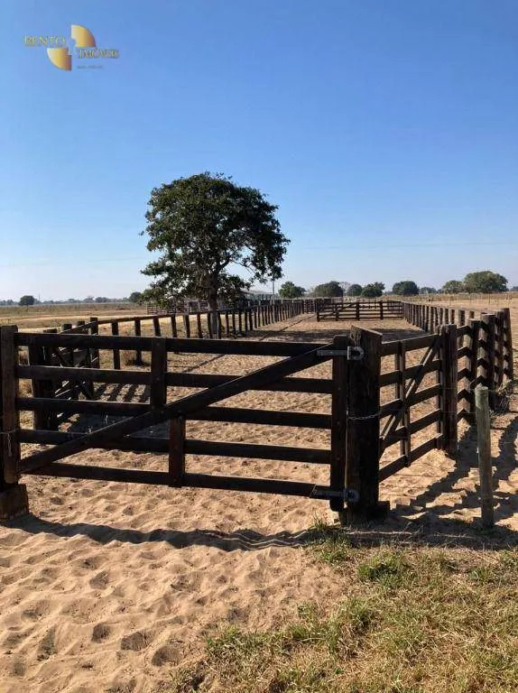 Fazenda à venda de 3.511 ha em Itiquira, MT, Brasil