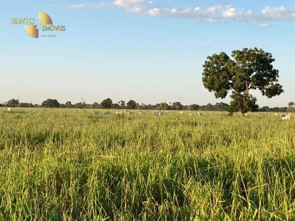 Fazenda à venda de 3.511 ha em Itiquira, MT, Brasil