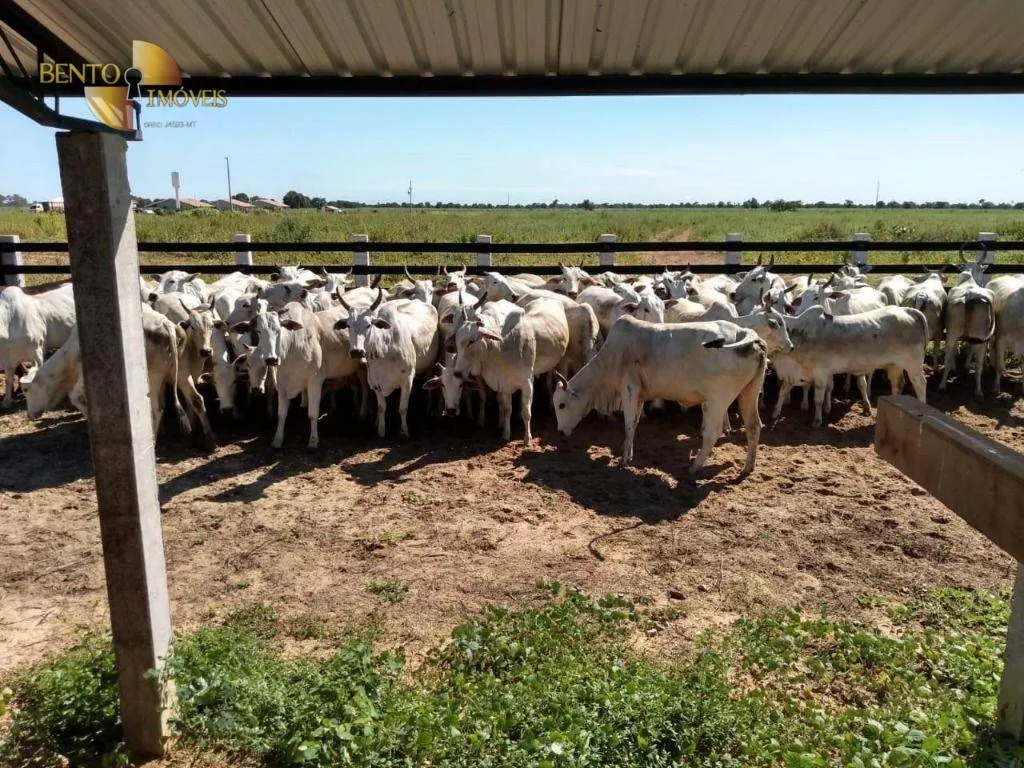 Fazenda à venda de 3.511 ha em Itiquira, MT, Brasil