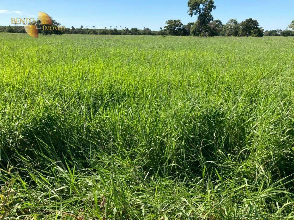Fazenda à venda de 3.511 ha em Itiquira, MT, Brasil