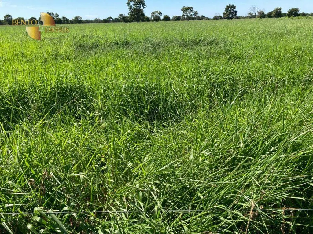 Fazenda à venda de 3.511 ha em Itiquira, MT, Brasil