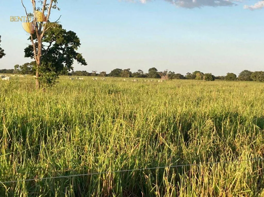 Fazenda à venda de 3.511 ha em Itiquira, MT, Brasil