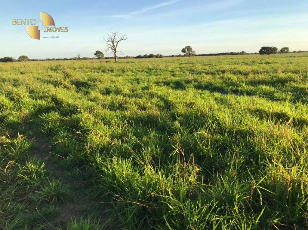 Fazenda à venda de 3.511 ha em Itiquira, MT, Brasil