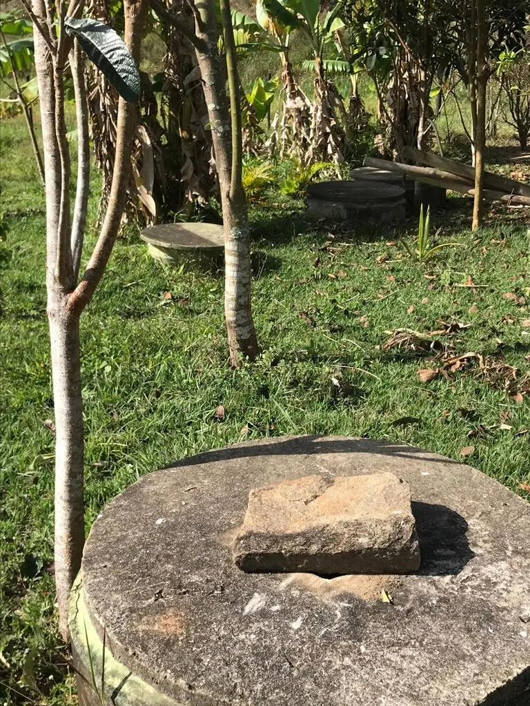 Small farm for sale of 11 acres in Paraibuna, SP, Brazil