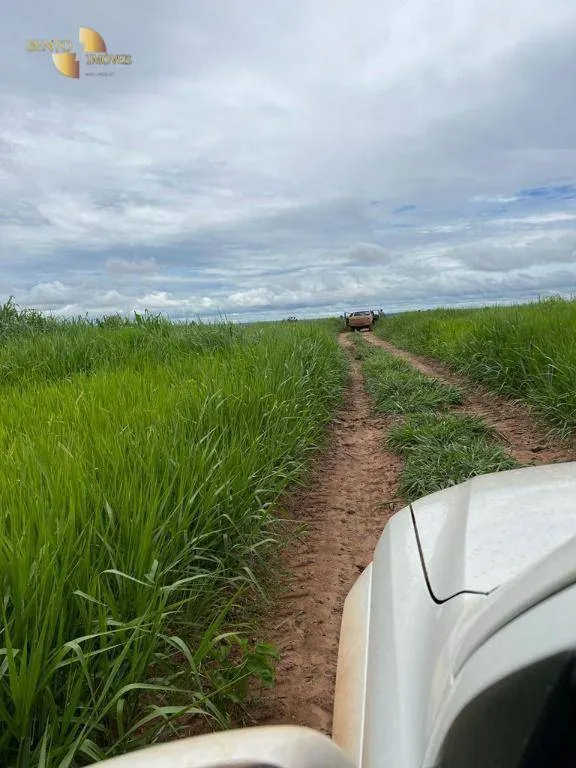 Fazenda à venda de 3.150 ha em Paranatinga, MT, Brasil