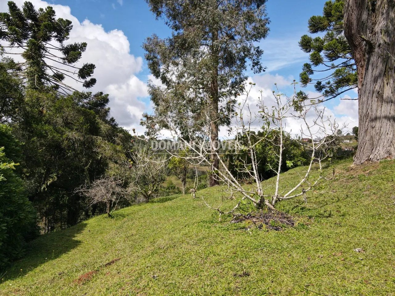 Plot for sale of 1,560 m² in Campos do Jordão, SP, Brazil