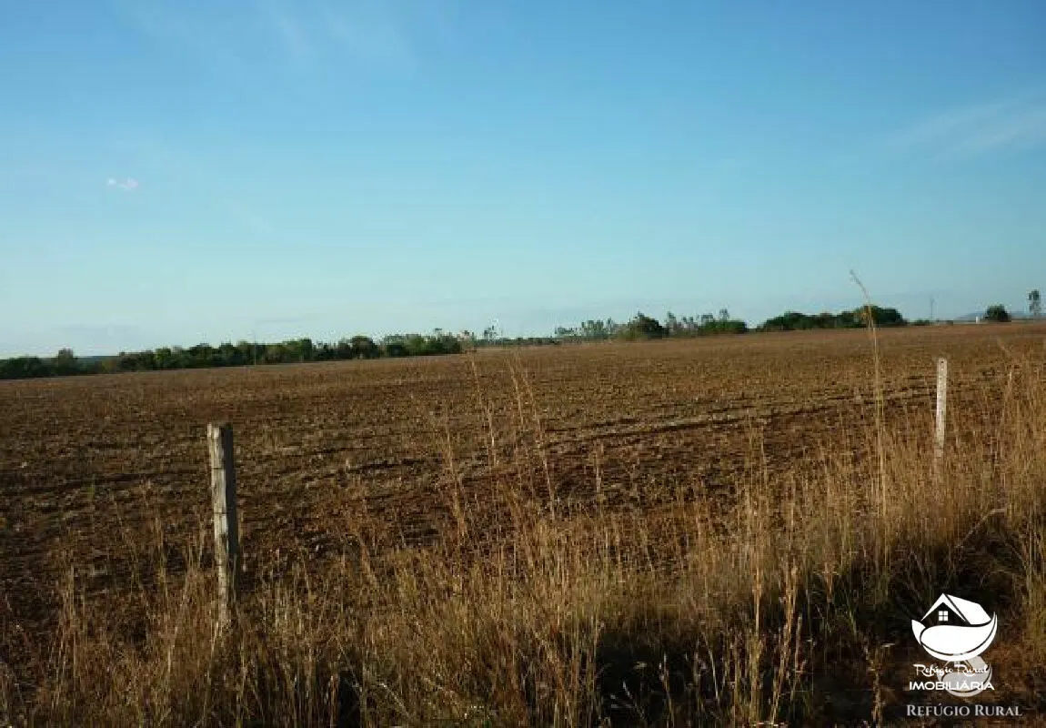 Farm for sale of 1,273 acres in Alvorada, TO, Brazil