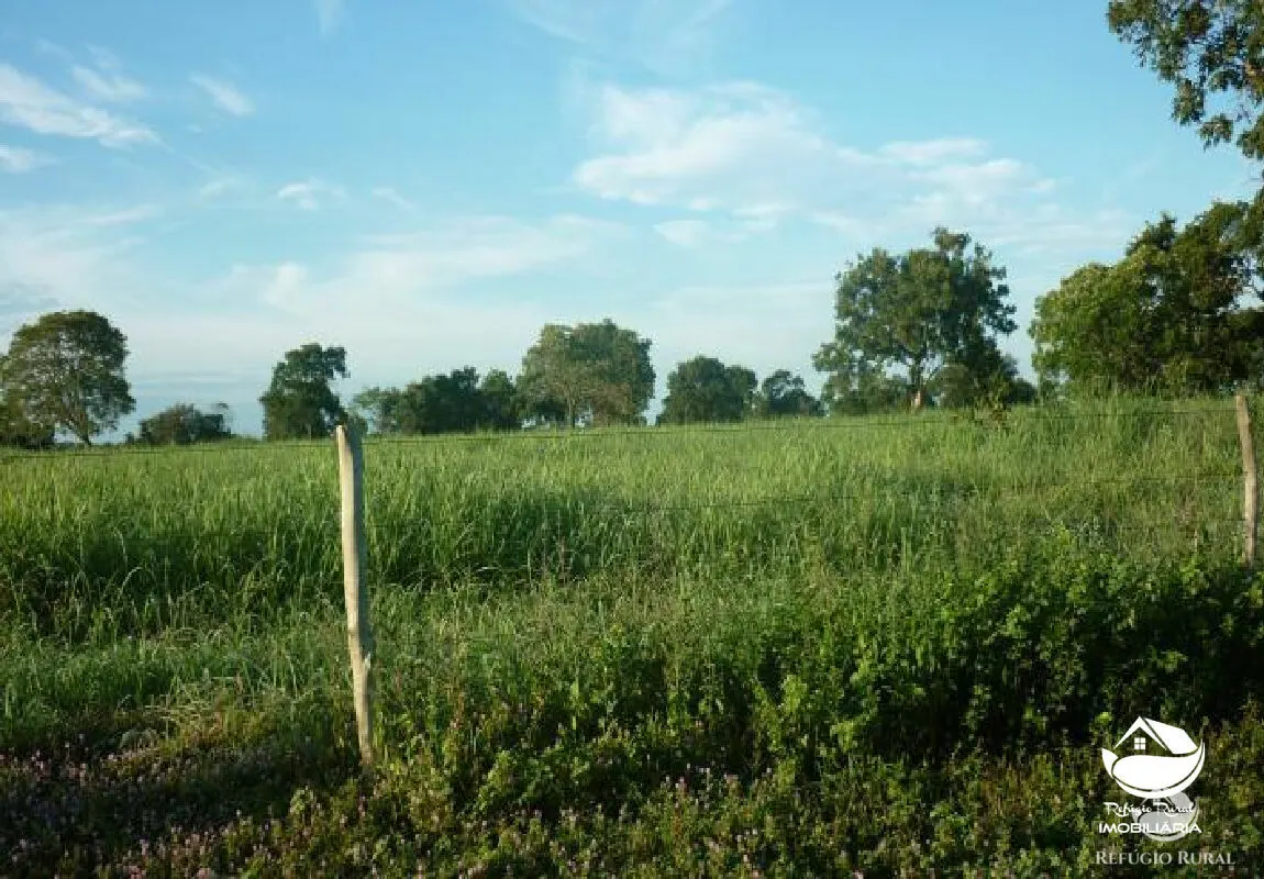 Farm for sale of 1,273 acres in Alvorada, TO, Brazil