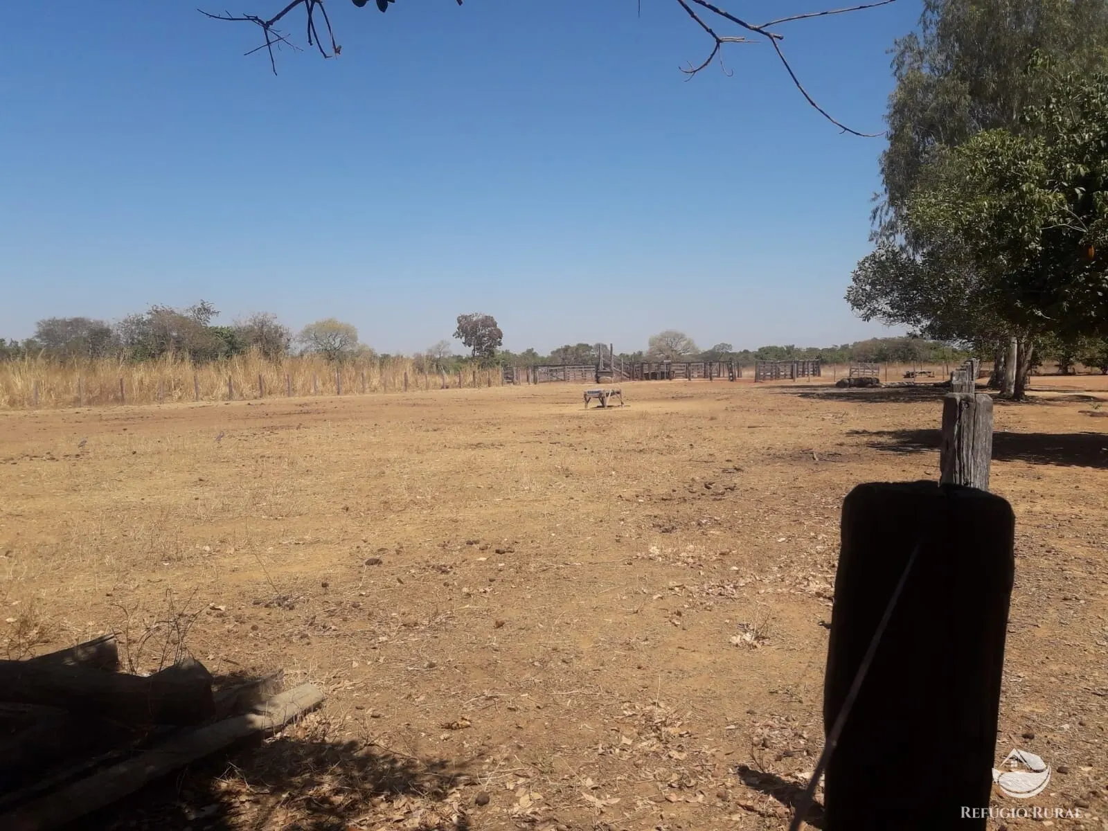 Farm for sale of 1,273 acres in Alvorada, TO, Brazil