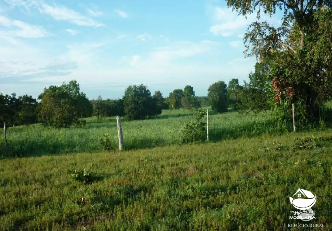 Farm for sale of 1,273 acres in Alvorada, TO, Brazil