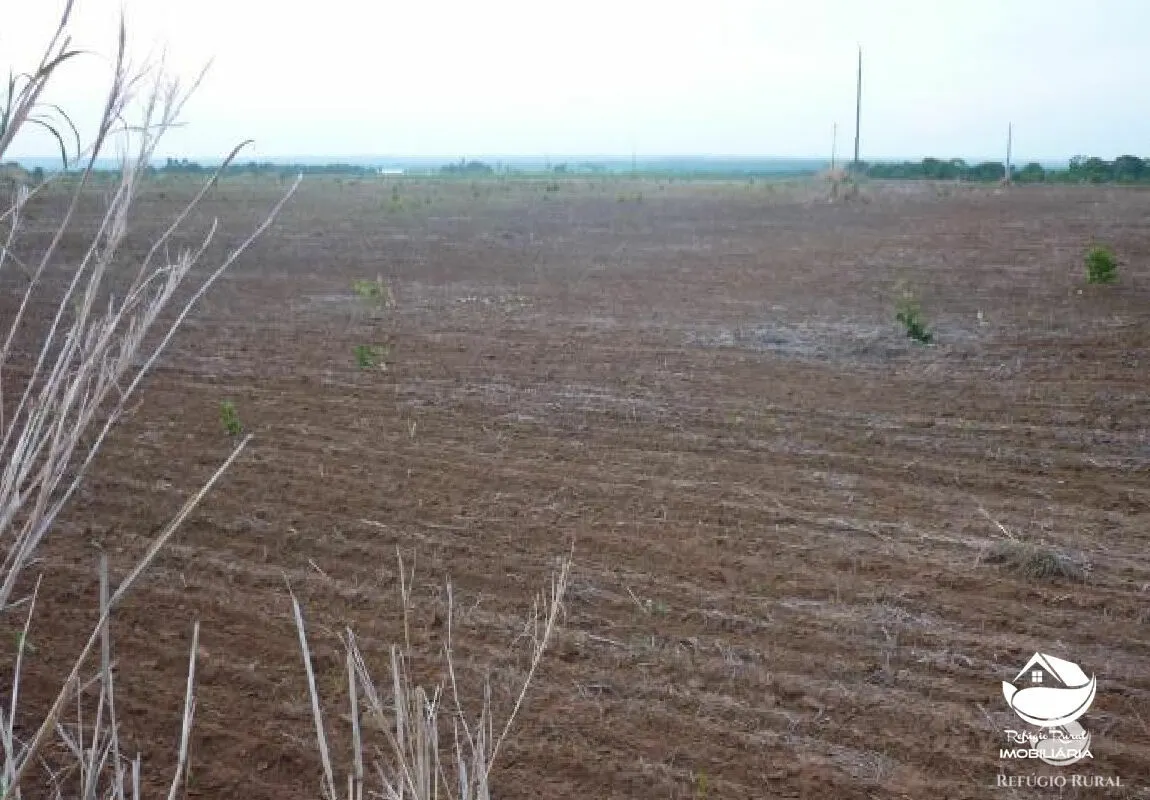 Farm for sale of 1,273 acres in Alvorada, TO, Brazil
