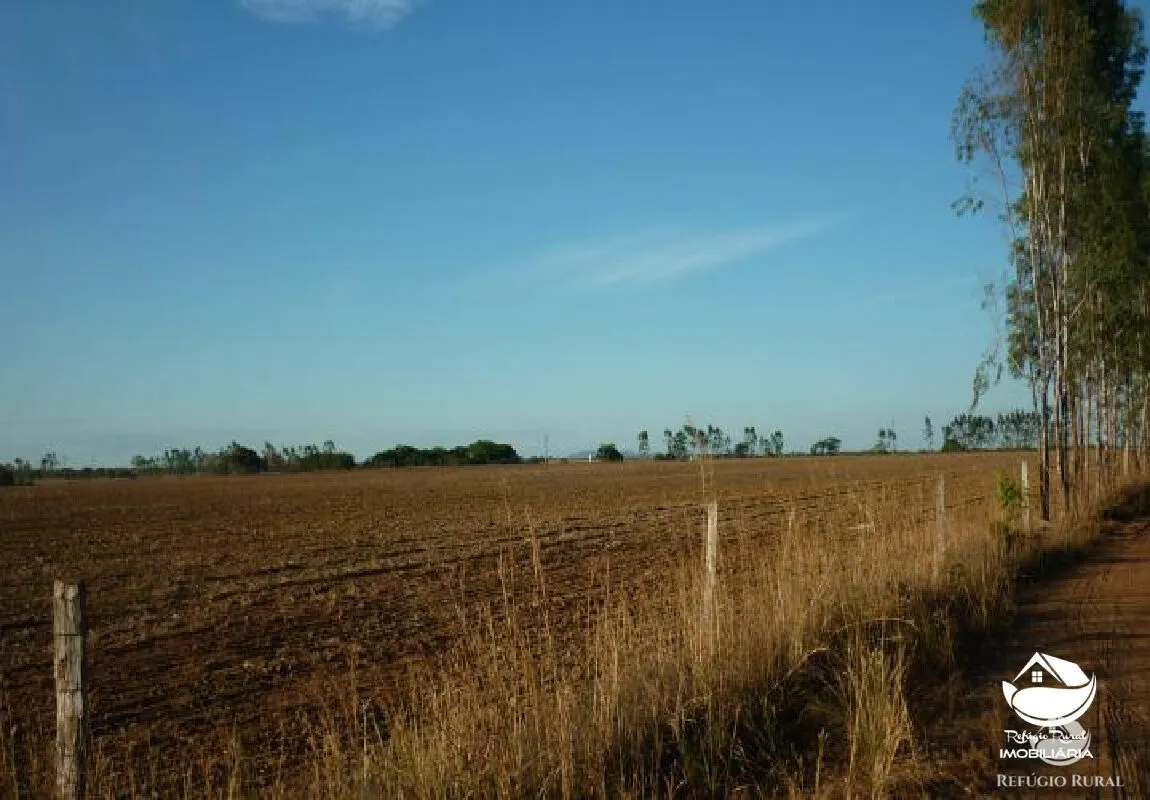 Farm for sale of 1,273 acres in Alvorada, TO, Brazil