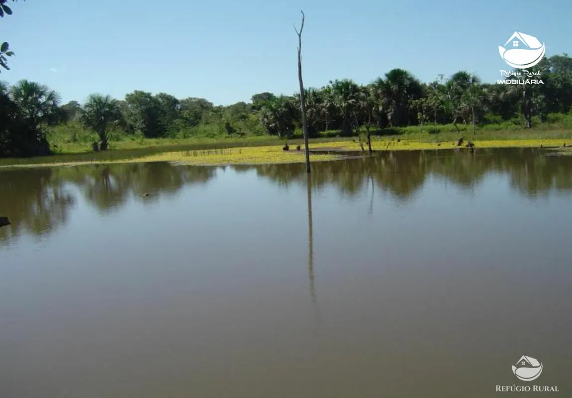 Farm for sale of 1,273 acres in Alvorada, TO, Brazil
