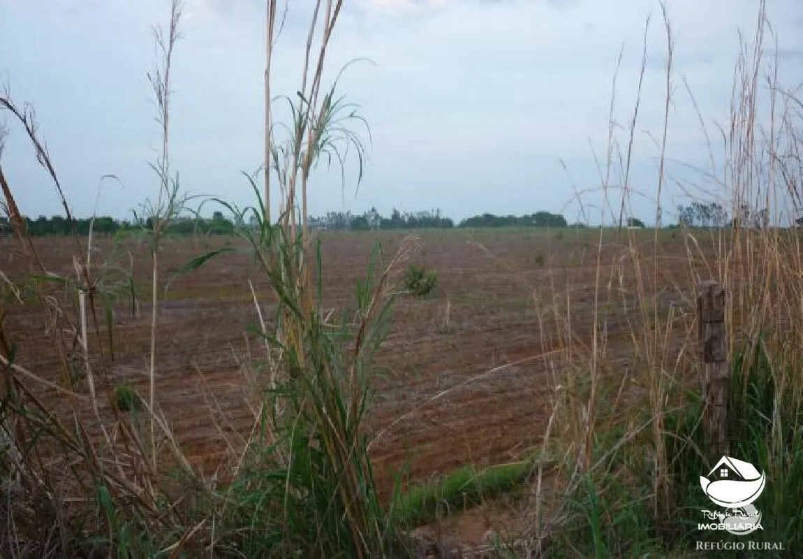 Farm for sale of 1,273 acres in Alvorada, TO, Brazil