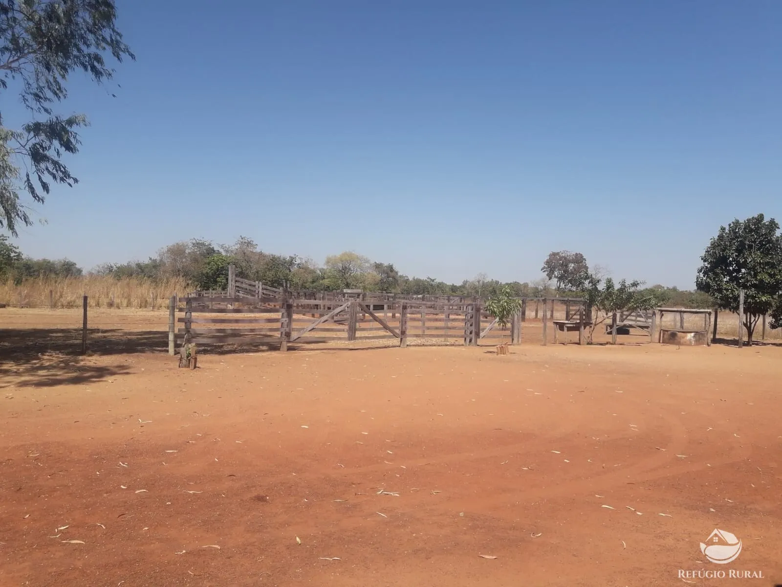 Farm for sale of 1,273 acres in Alvorada, TO, Brazil